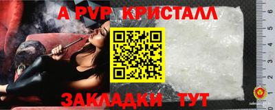 прущие грибы Пыть-Ях
