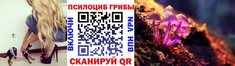Псилоцибиновые грибы Psilocybe  даркнет состав  ОМГ ОМГ зеркало  Шарыпово  купить  