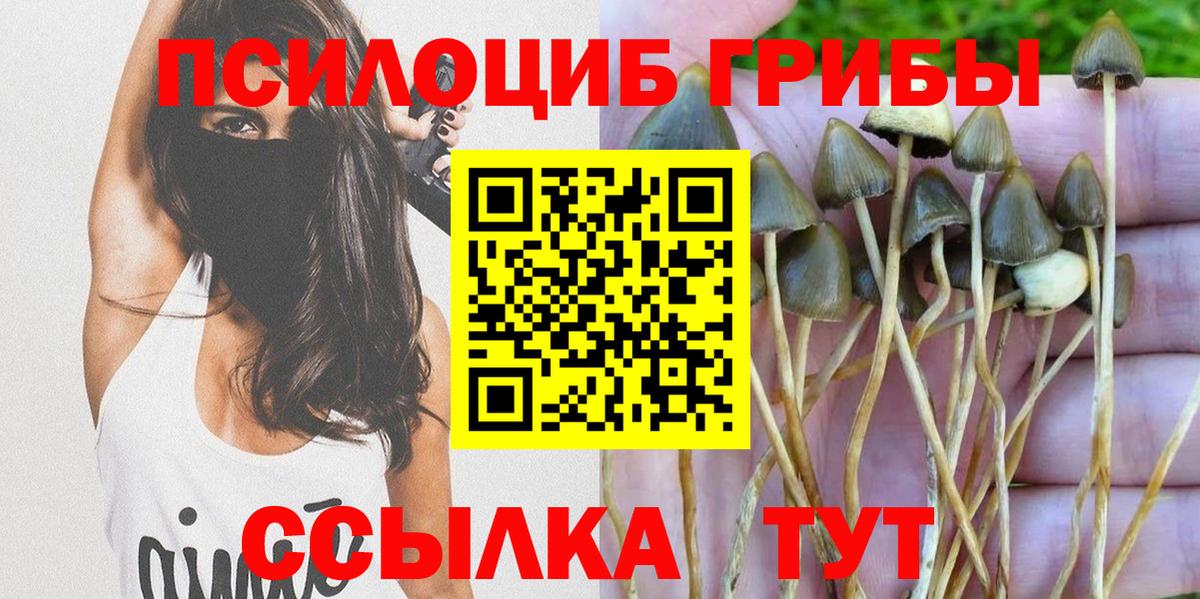 Шарыпово  Псилоцибиновые грибы MAGIC MUSHROOMS  Вход с VPN  наркотики  Галлюциногенные грибы ЛСД 